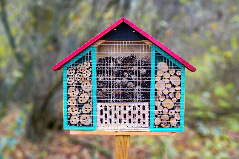 Ett bihotell med många sorters rum att flytta in i.