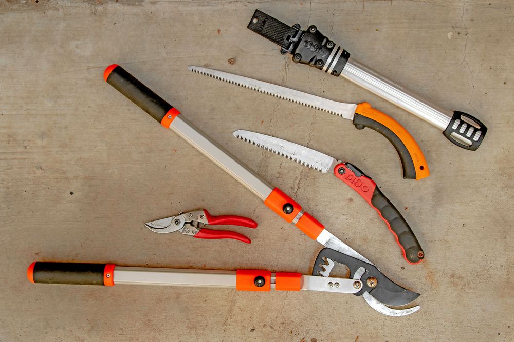 Såg och sekatör är nödvändiga. Överst syns två smidiga japanska sågar, den övre har ett hölster, den undre kan fällas ihop. En kraftigare grensax är ett bra komplement.