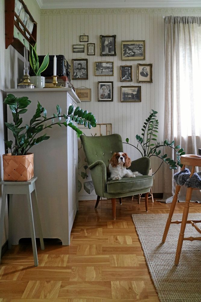 Mysig läshörna med fåtölj i mildgrön sammet.