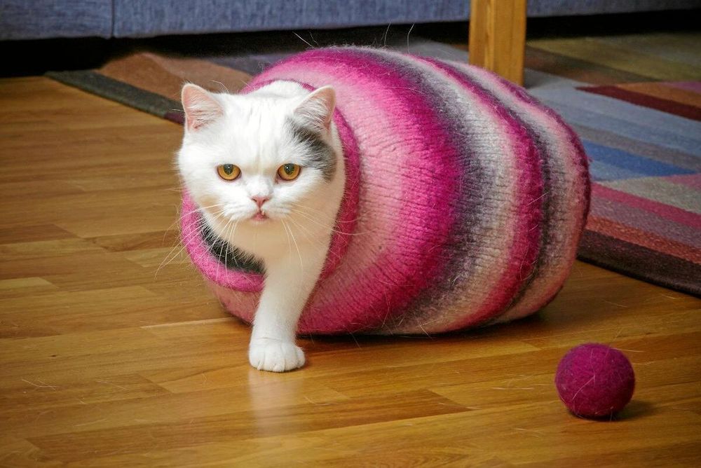 Liten kula och liten matchande boll till katten.
