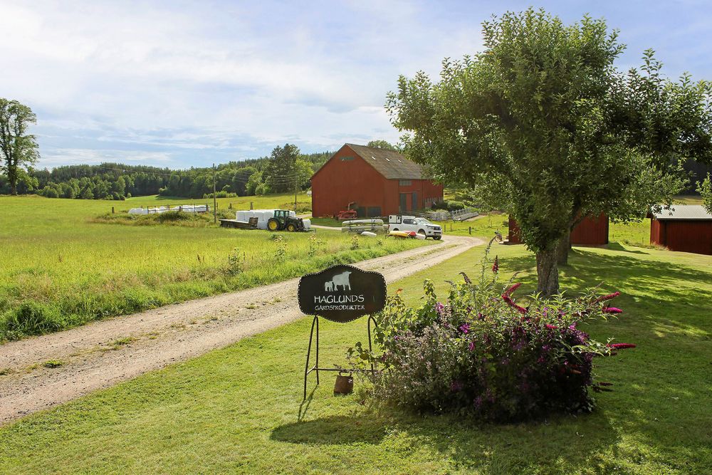 Familjens gårdsbutik där de säljer gårdens eget kött är ett viktigt tillskott.