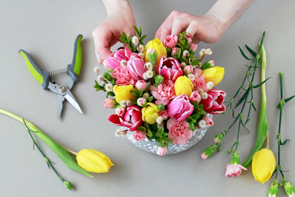 En liten kudde blommande vår.