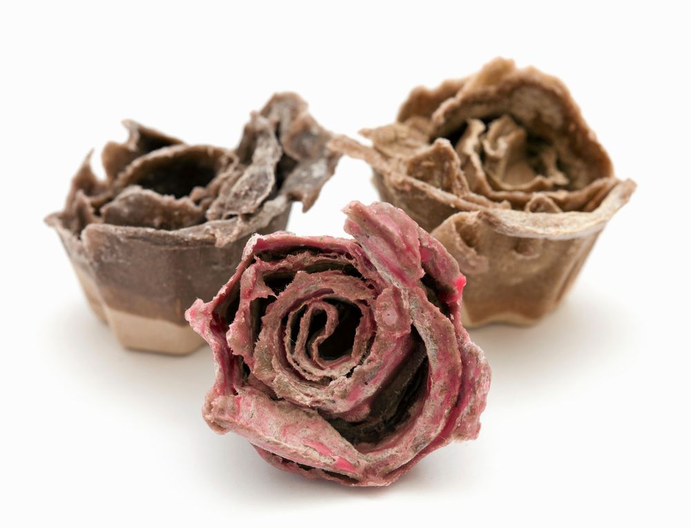 Tändrosor av äggkartong och stearin.