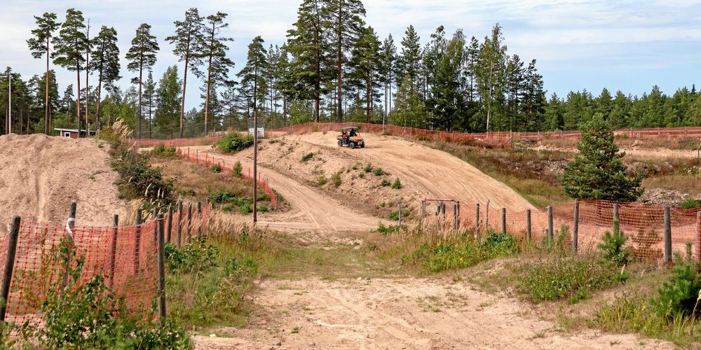 Blommande ängsvädd och öppna sandytor ska locka guldsandbin och silvergökbin till motorcrossbanan utanför Finspång.