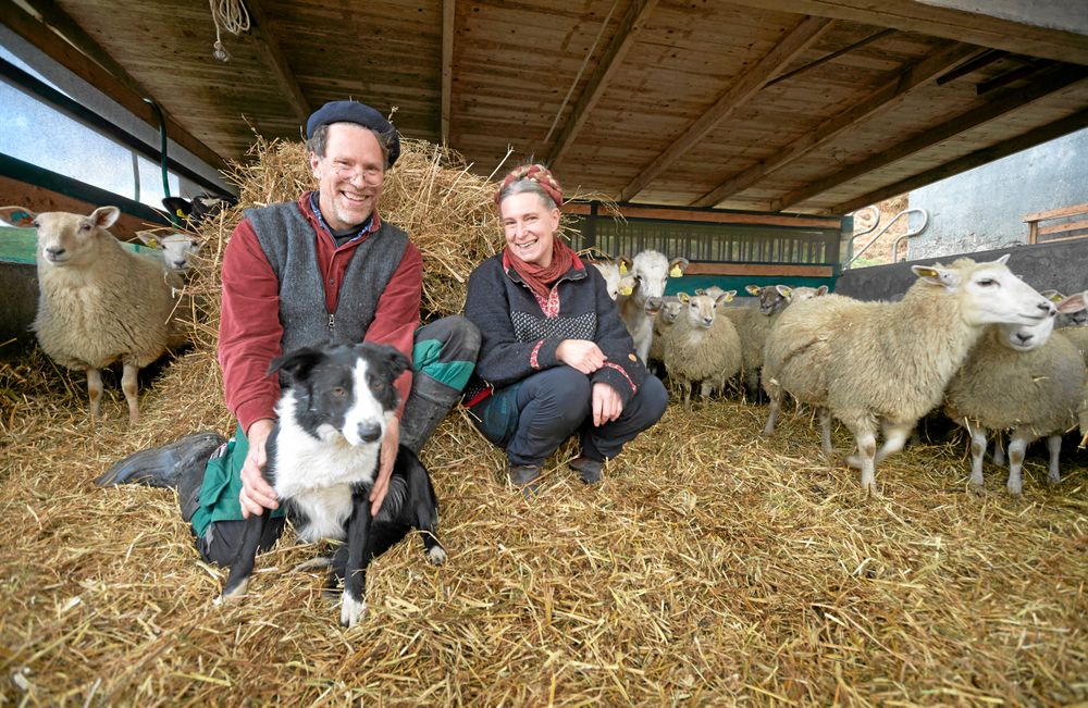 Gustav och Marie vill lösa parkeringsproblemet för byns bästa.