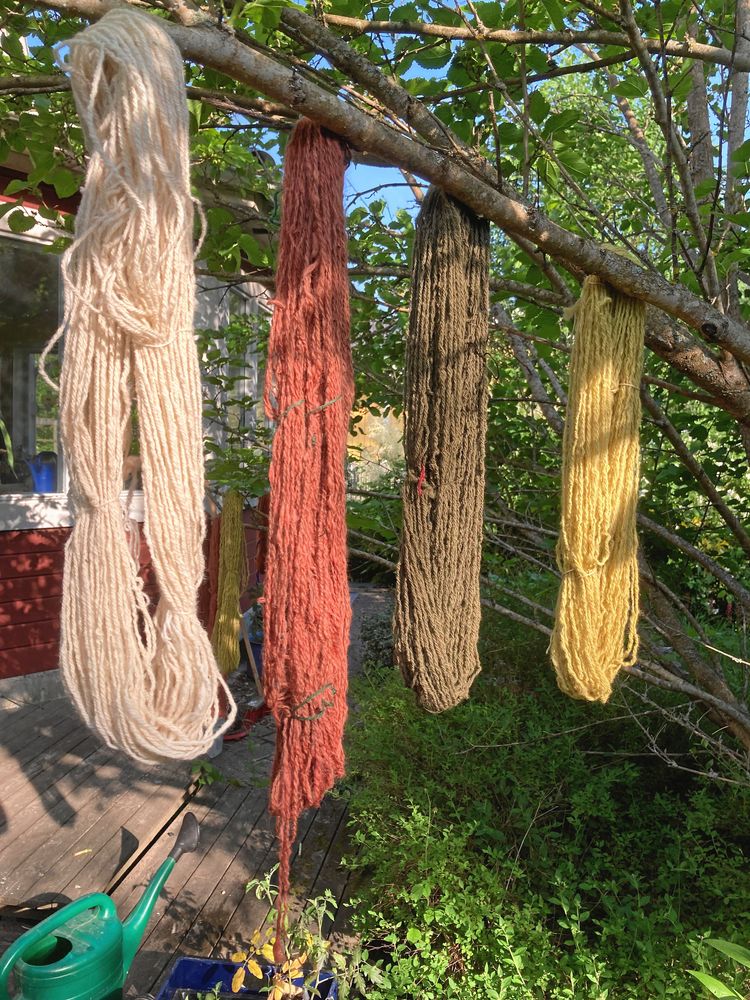 Skrytpaus med färdigt garn hängande i solen.