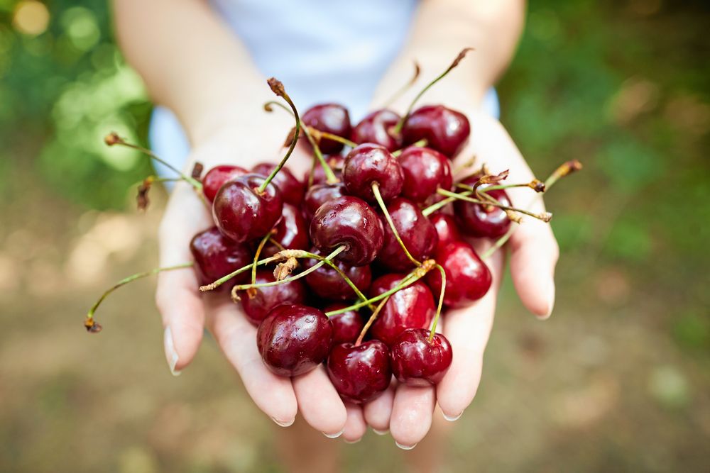Körsbär - så gott och så nyttigt!