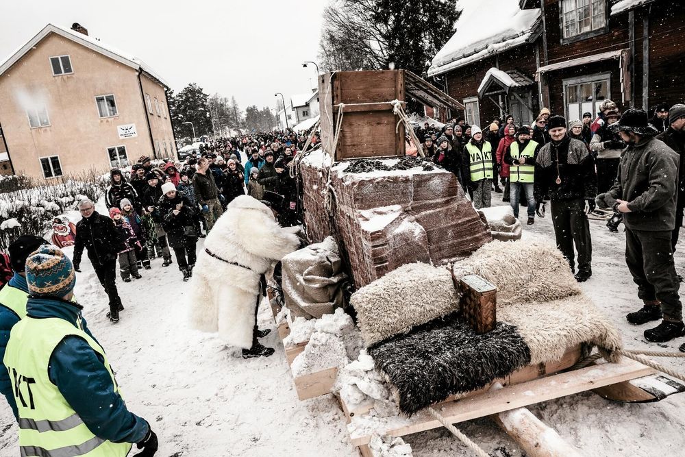 Sarkofagdraget kommer i år att genomföras som två tävlingslopp med individuella kälkar.