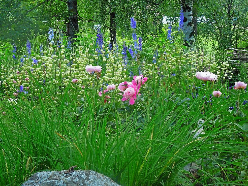 Öppen trädgård bjuder på inspiration för alla trädgårdsälskare.