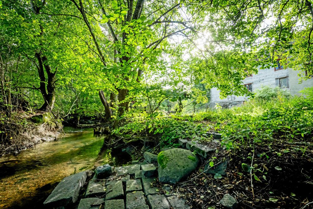 Karlösa kvarn ligger vid en fåra som i folkmun kallas ”kanalen”. De två åarna skapar en ö där kvarnbostaden och kvarnen ligger.