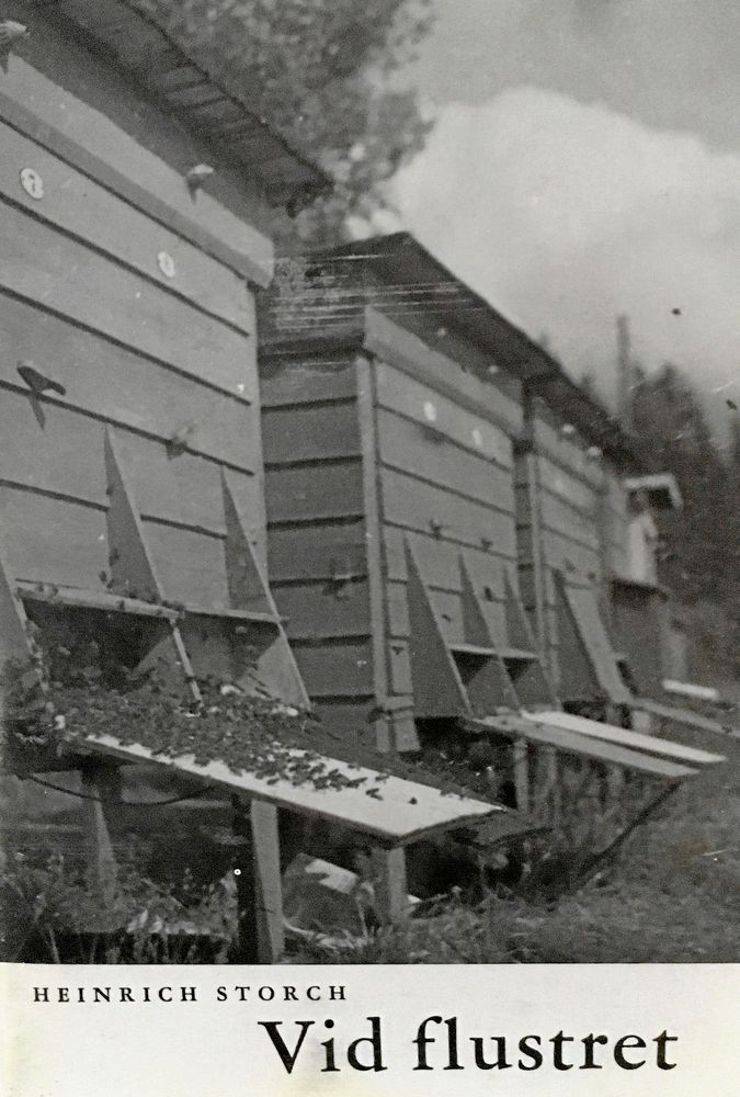 Guld från 1950-talet, en djupdykning i binas liv.
