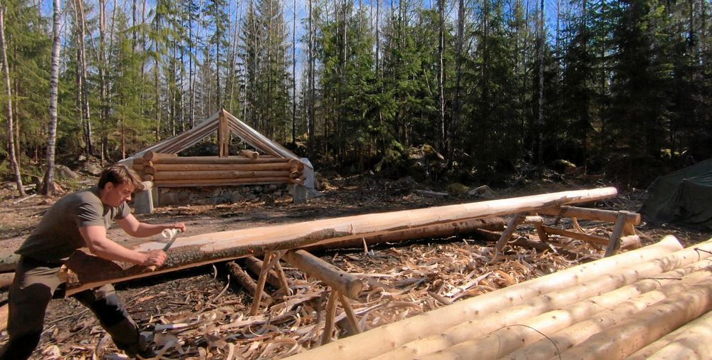 Så mycket flis! Under barkningen hade Erik barkflagor upp till knävecken ibland.