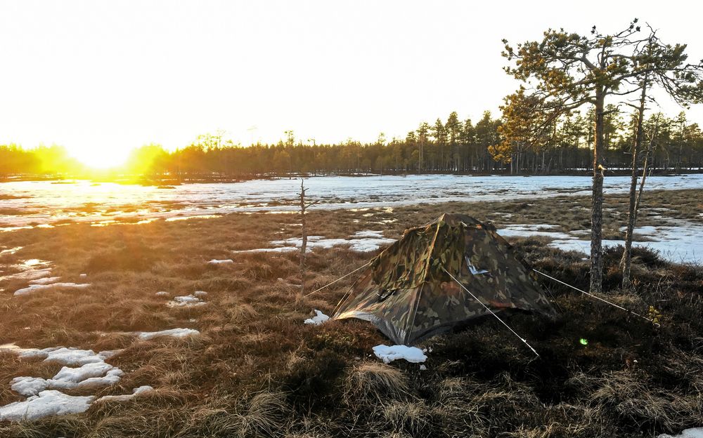 Innan de sista solstrålarna försvinner har jag fått upp tältet som blir mitt hem för natten inför morgonens föreställning på orrmyren.