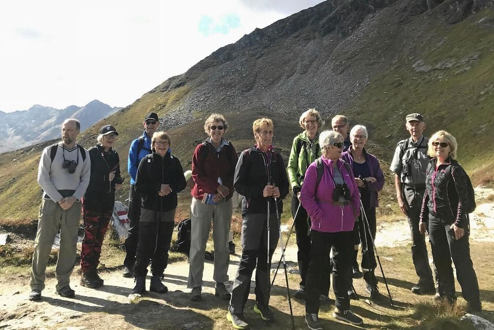 På toppen! Nästan i varje fall!