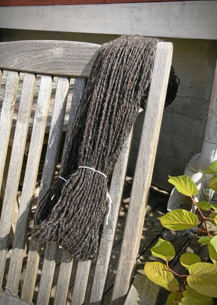 Ofelias svarta ull är spunnen, tvättad och ligger på tork.