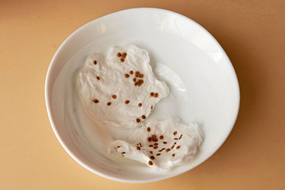 Tomatfrön att så. Köp nya eller använd från egna tomater.