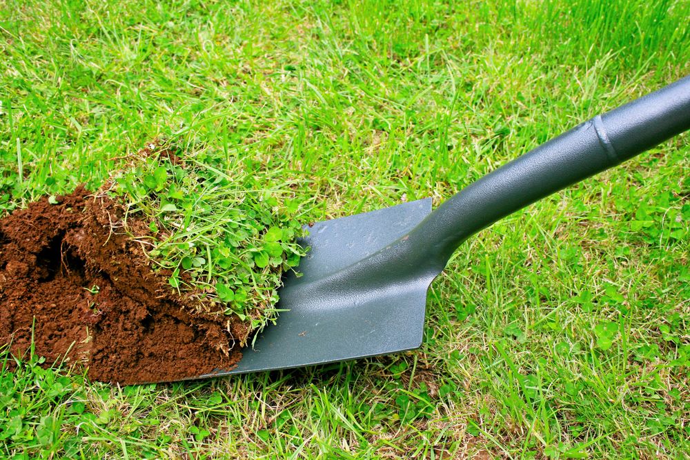 Mer äng, mindre matta. Gör en sommarblomsmix och lägg på vända jordtorvor.