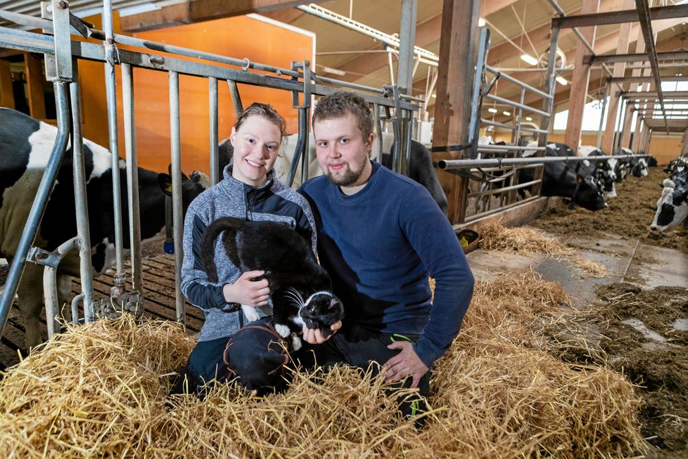 Lagårdskatten Bosse håller efter möss och råttor och är samtidigt en riktig kelgris, konstaterar Johanna.