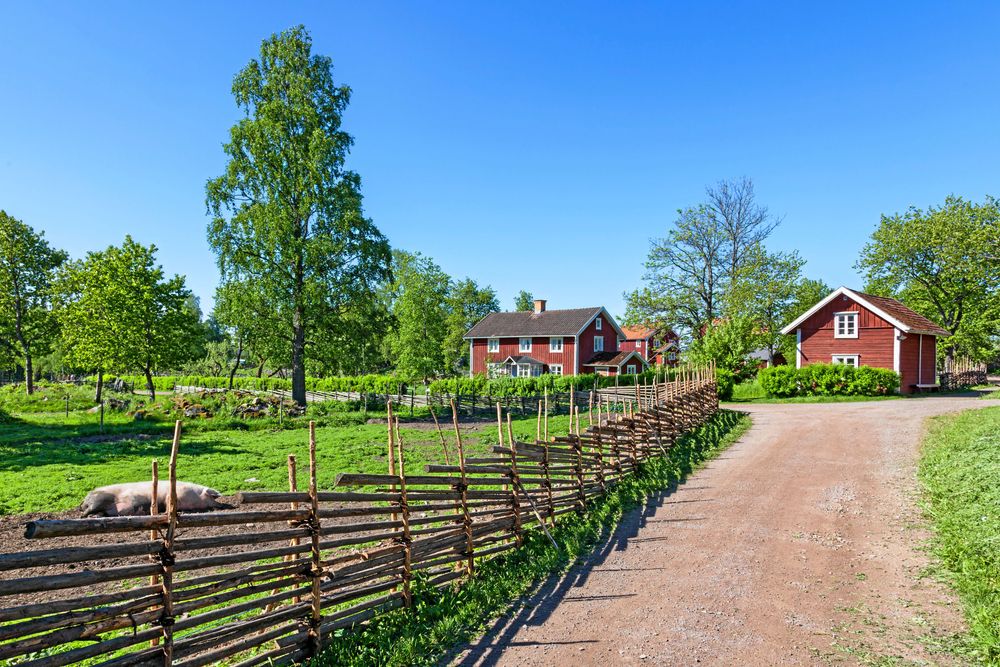Gärdesgård eller skihaga? Kärt barn har många namn. Foto: Istock