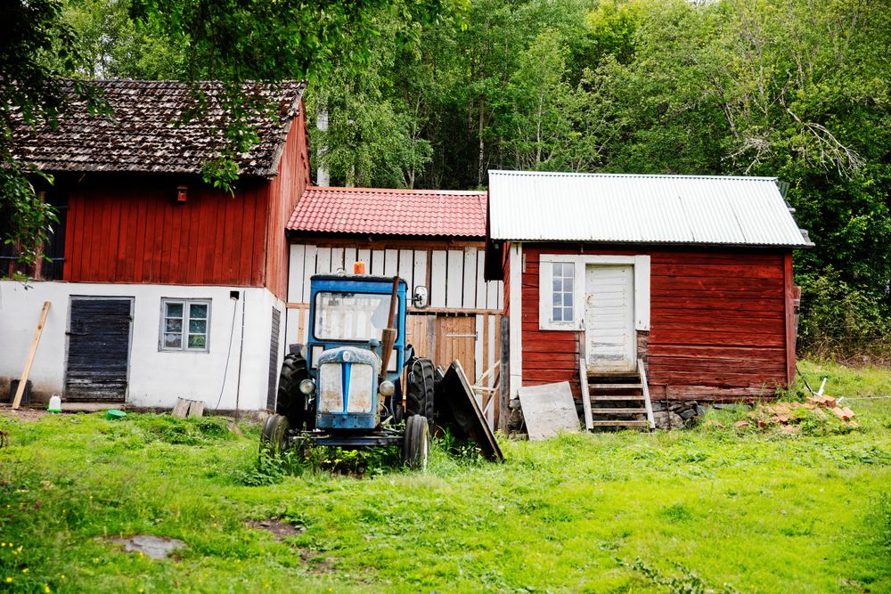 Lada, uthus och traktor är bra när familjen satsar allt mer på jordbruk.