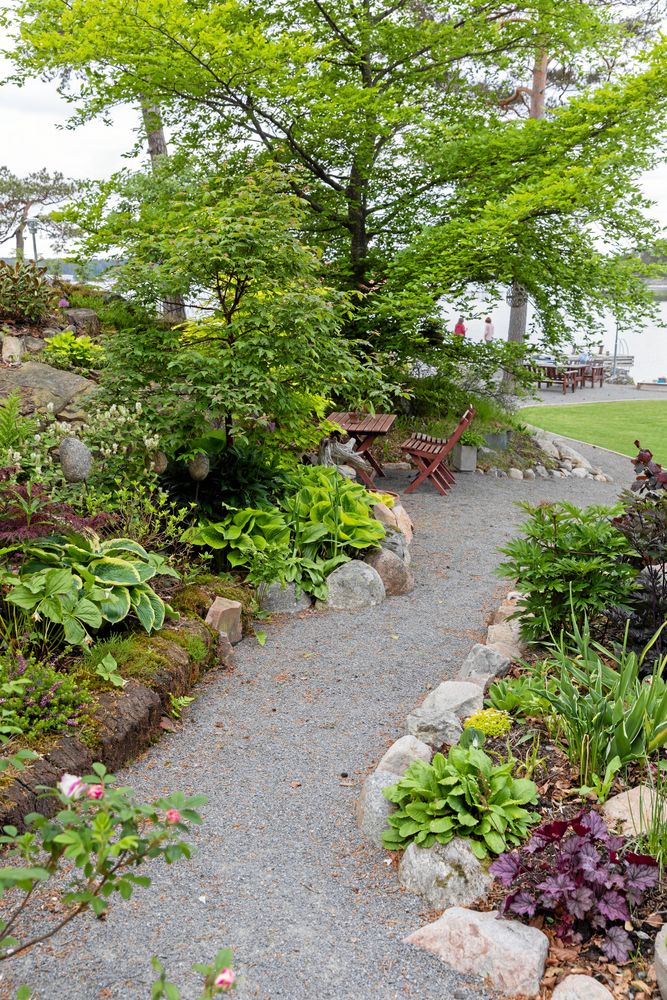 Funkian trivs bra tillsammans med Paulas favoriter, surjordsväxterna.