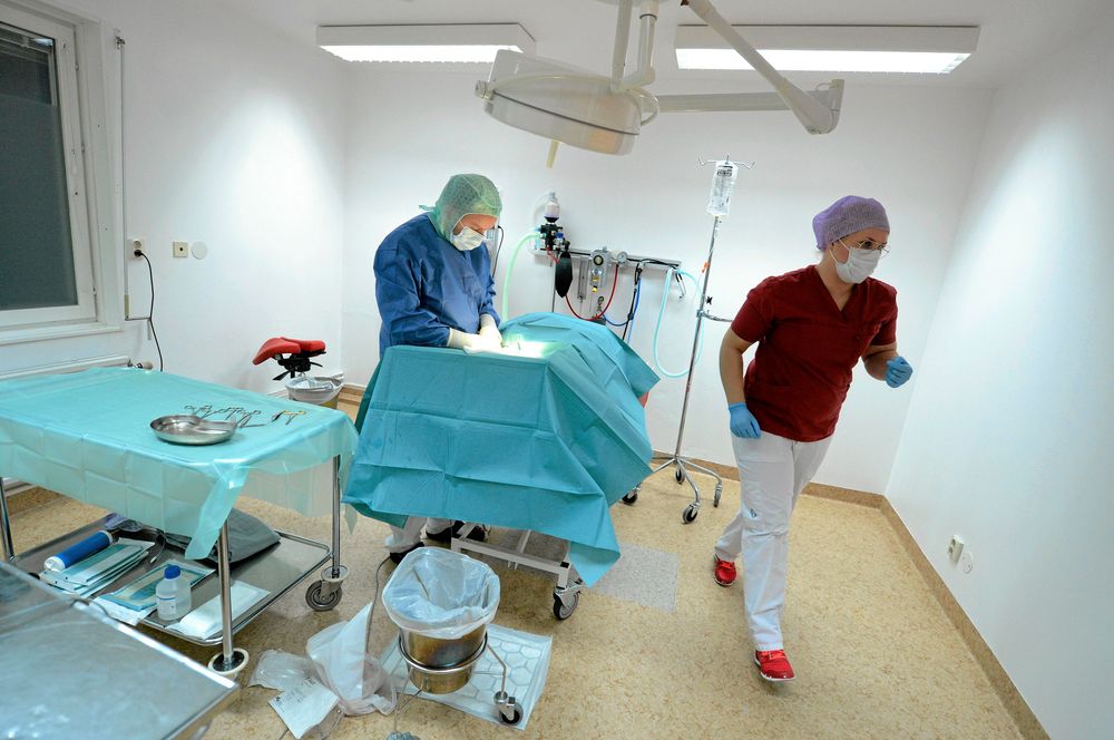 TOPPMODERN. Andreas och Emelie i sin modernt utrustade djurklinik, bland annat med en avancerad skiktröntgen - den enda norr om Sundsvall.