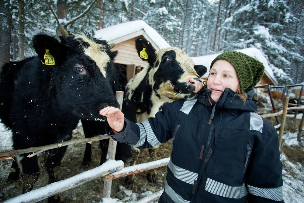 Britta-Karin Jacobsson och hennes man har stora planer för sin gård i Bälinge utanför Luleå. Djuren är grunden i verksamheten, man snart ska besökare kunna både övernatta, handla och äta här.