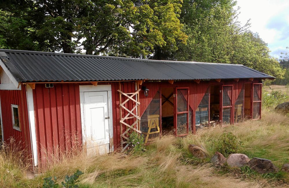 Talgoxsäkert hus till bina, äntligen.