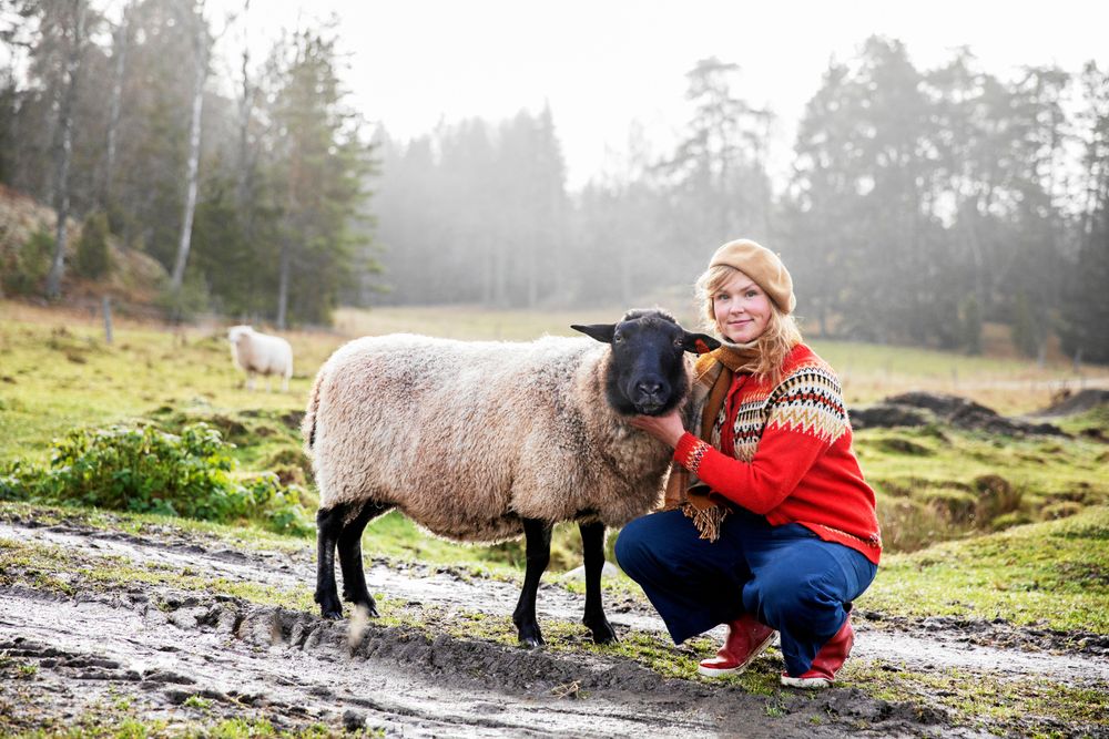 Ledarfåret Karmen gillar att gosa och bli kliad bakom örat. Sofia och hennes sambo har sin fårflock på långtidslån från bonden.
