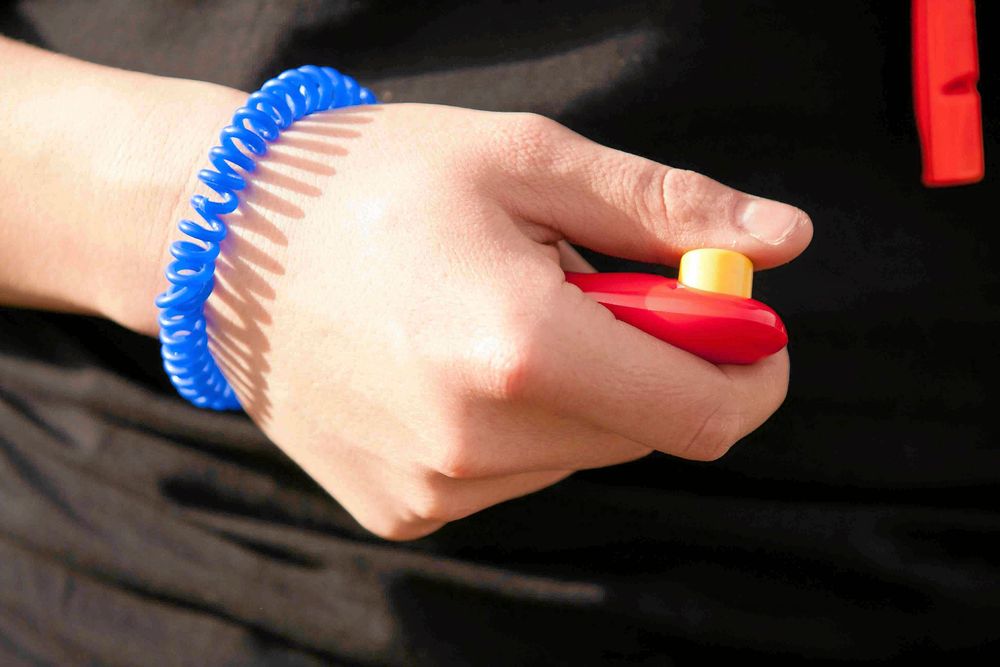 En klicker kan se ut på olika sätt och ha lite olika ljud. Den här hänger i ett smart armband som gör den lätt att hålla reda på och komma åt.