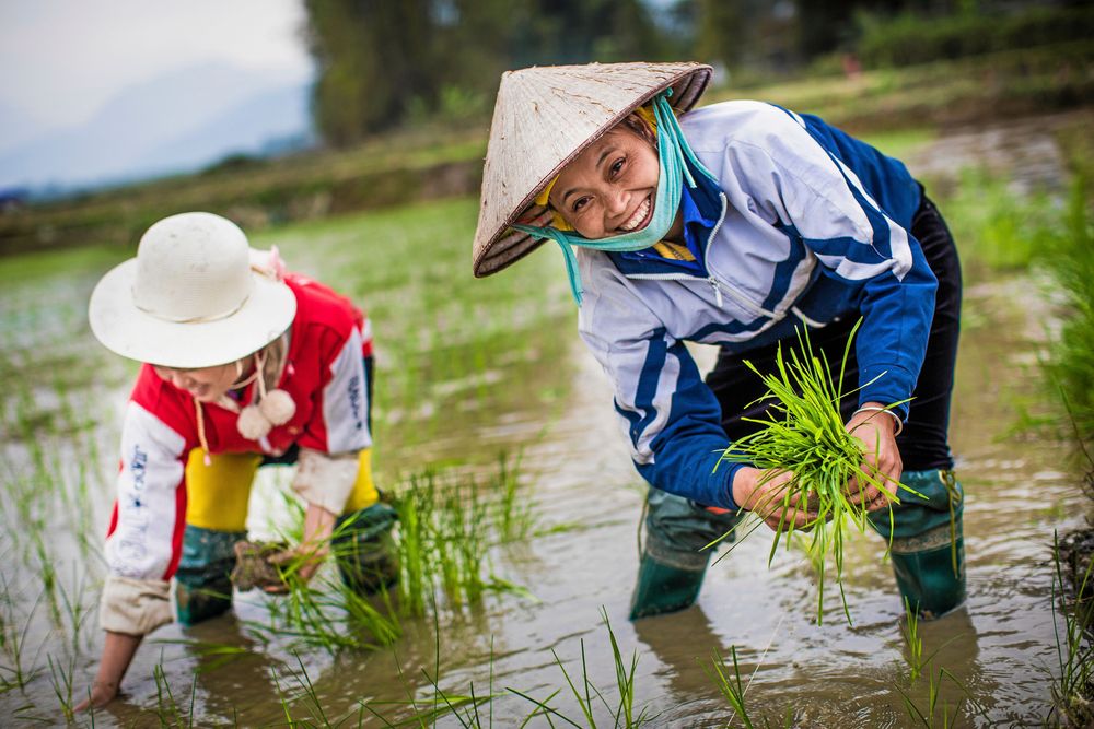 Hjälp kvinnor på Vietnams landsbygd att komma ut i arbetslivet med hjälp av We Effect.