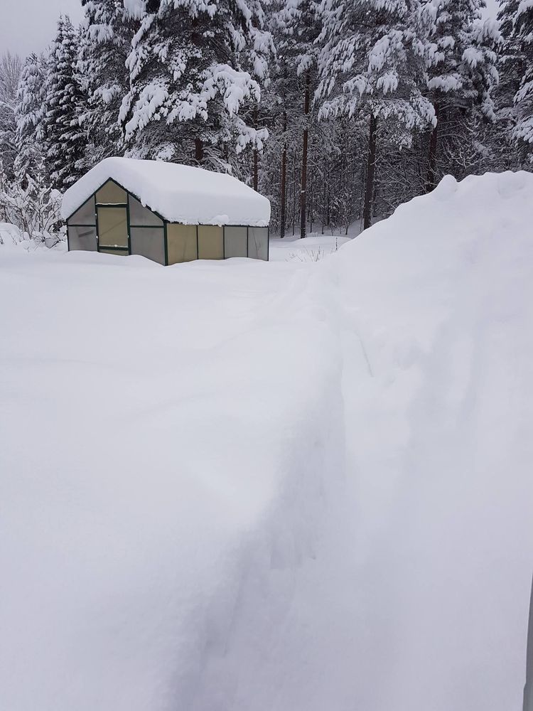 Ett igensnöat växthus som står i Yttermalung.
