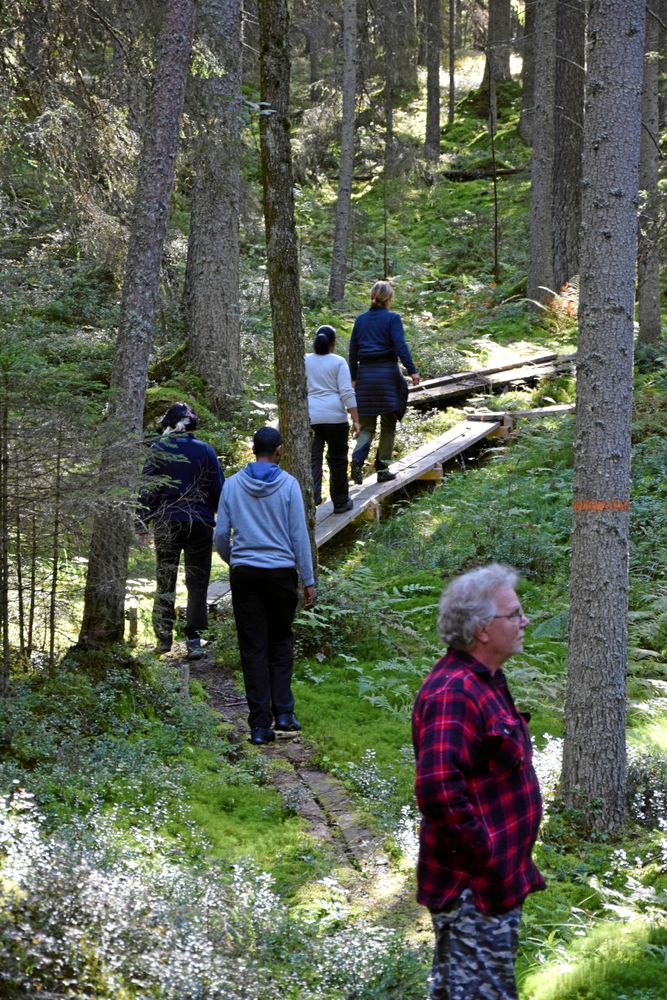 Skogspromenader är en viktig del i Hedemorakyrkans sociala verksamhet.