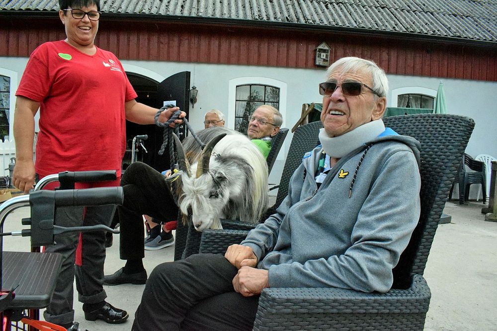 Camilla Johnsson tog geten Sune i koppel så Åke Bengtsson fick chansen att säga hej.