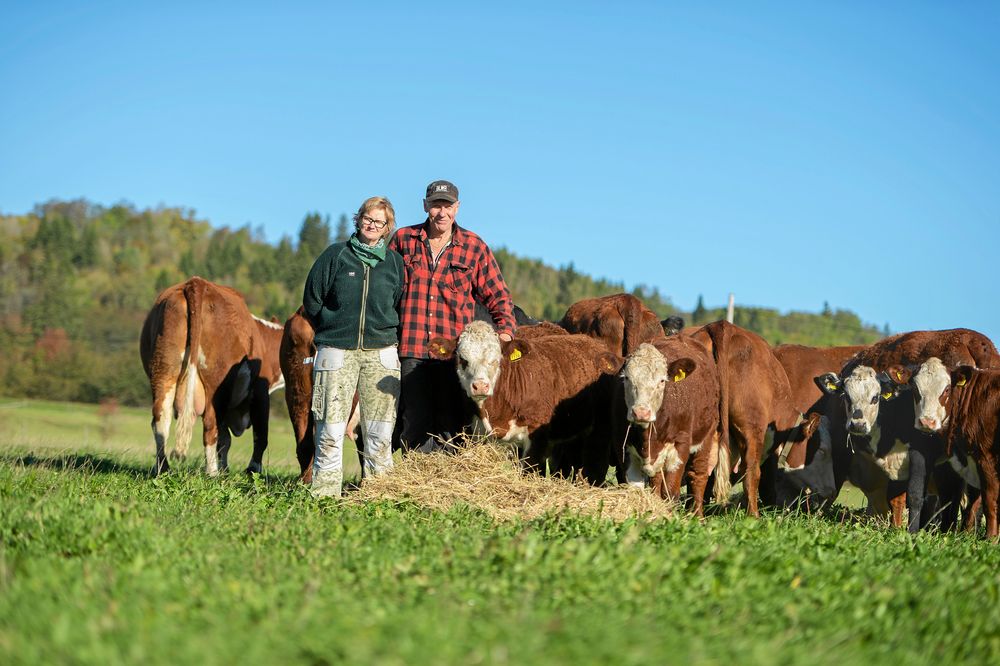Thomas Johansson och Gisela Wass fann varandra i precis rätt skede i livet – när barnen flyttat hemifrån. Det gav dem nya möjligheter att finna kärleken.