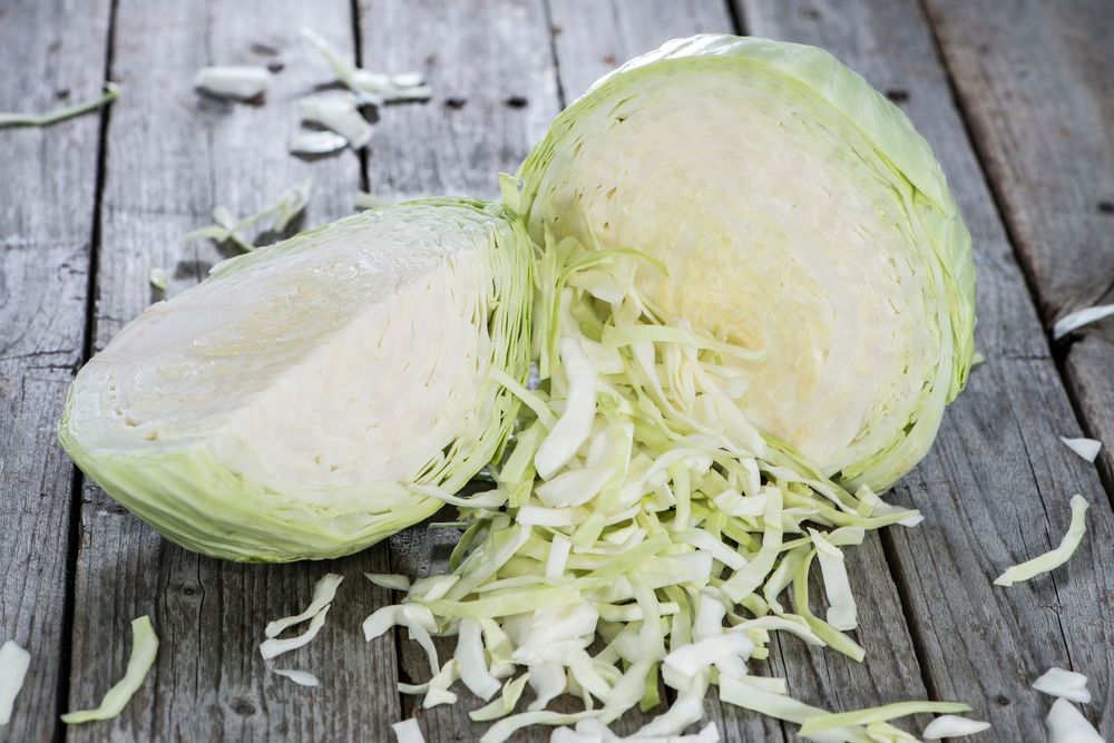 Vitkål är en riktig klassiker med många möjligheter.