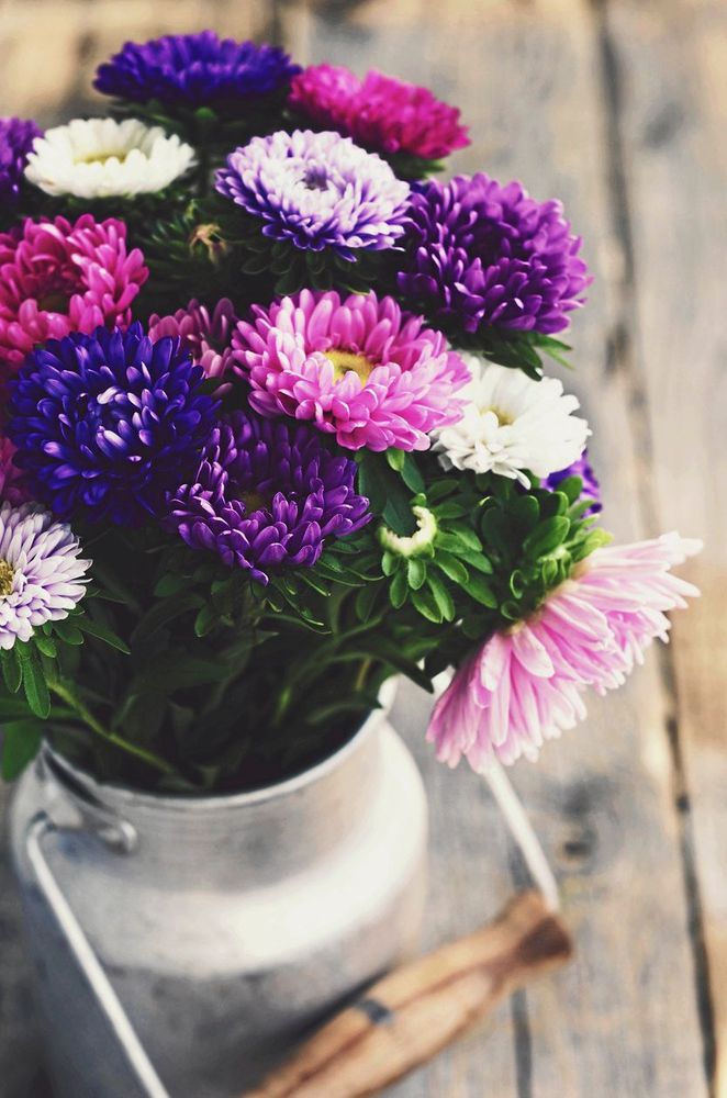 Vackra blommor är bra för både dig och andra!