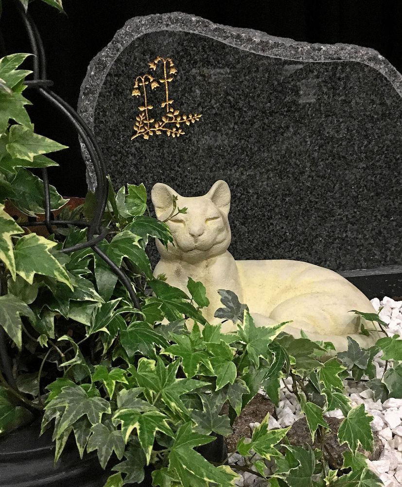 Pia Möller, Trädgårdsutbildningen Forslunda, gjorde en lättskött minnesplats med murgröna som bas och plats för säsongsblommor.