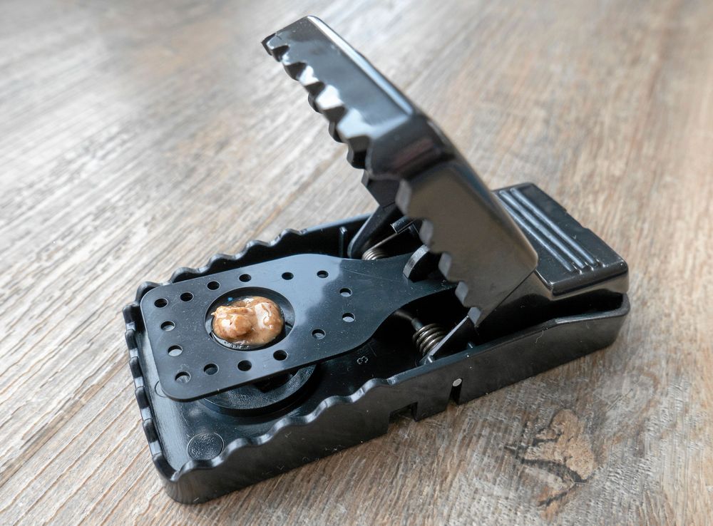 En liten klick räcker. För mycket bete gör inte jakten mer lyckosam.