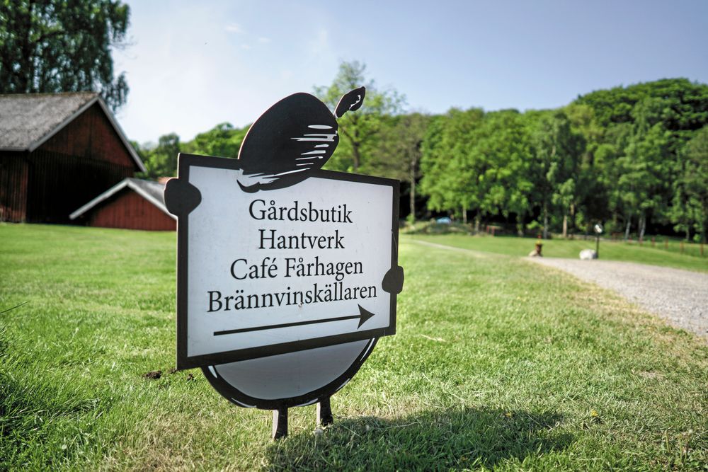 På Öströö fårfarm har man lärt sig att lyssna på besökarna, och erbjuder sådant som efterfrågas.