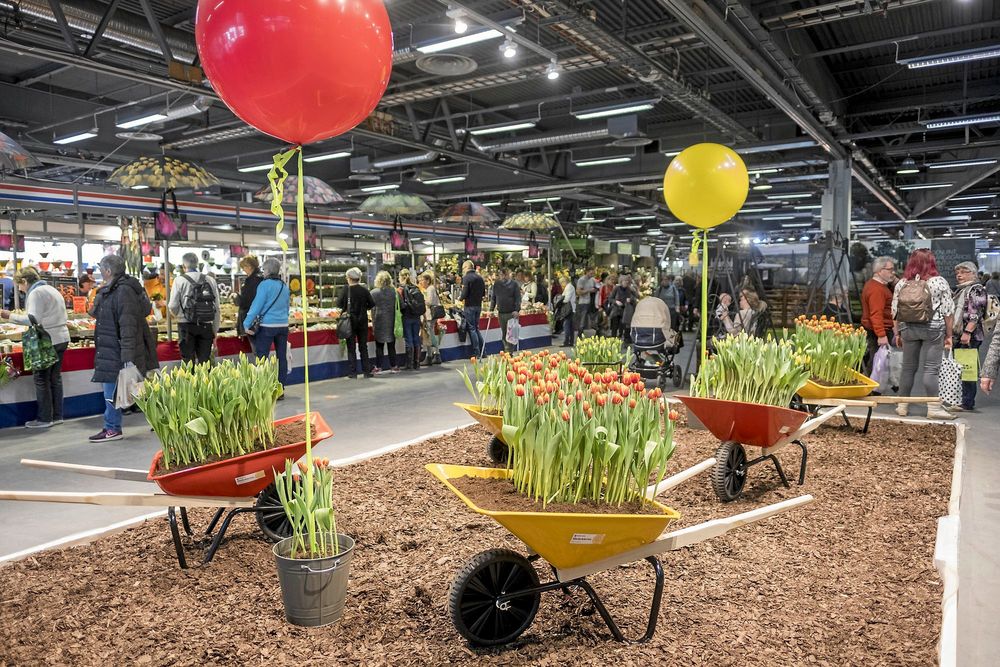 Varje år är det olika trädgårdstrender som presenteras på Nordiska Trädgårdar.