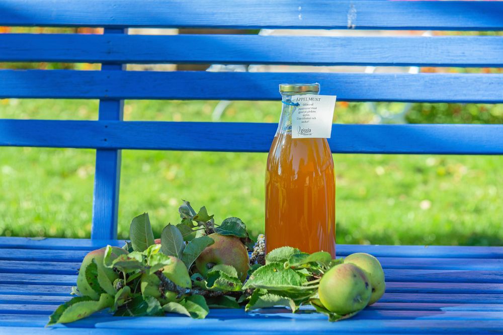 En av produkterna som Gisela tillverkar i sin verksamhet är äppelmust. Nu är det full fart i köket.