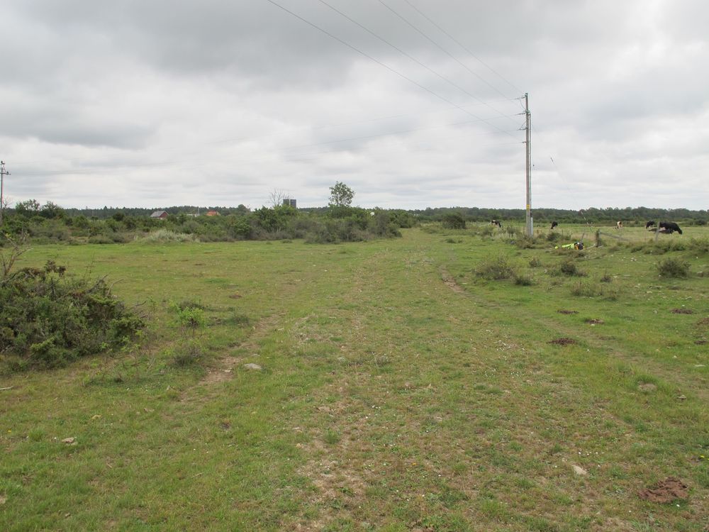 Här hittades silverskatten som ledde till ersättningen på 400 000 kronor.