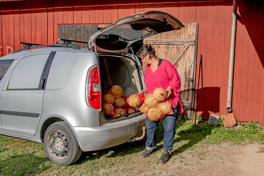 Storhandlat. 200 kilo närodlad vitkål langas raskt in i bakluckan.