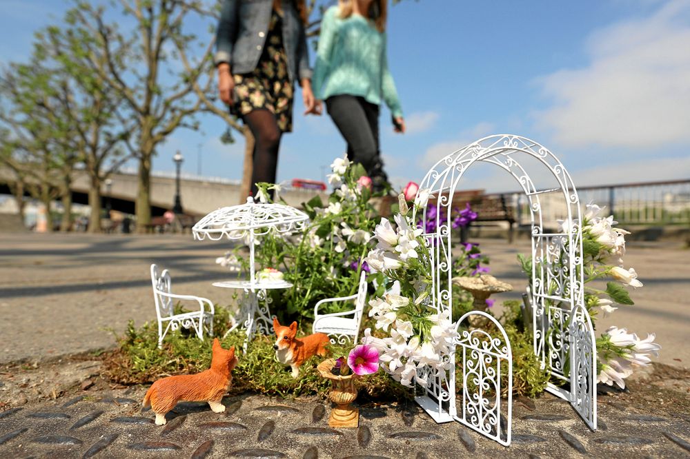 En potthålsplantering till drotningens ära. Steve Wheen pyntade med små corgi-hundar.