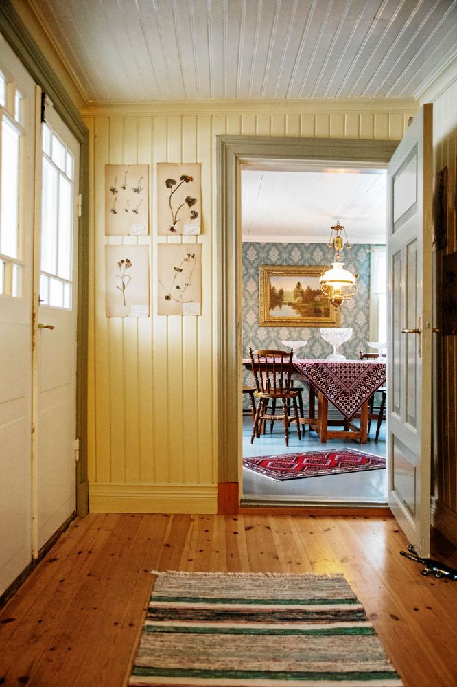 Den odlingsintresserade Joar har gamla herbarieblad med torkade växter som tavlor.