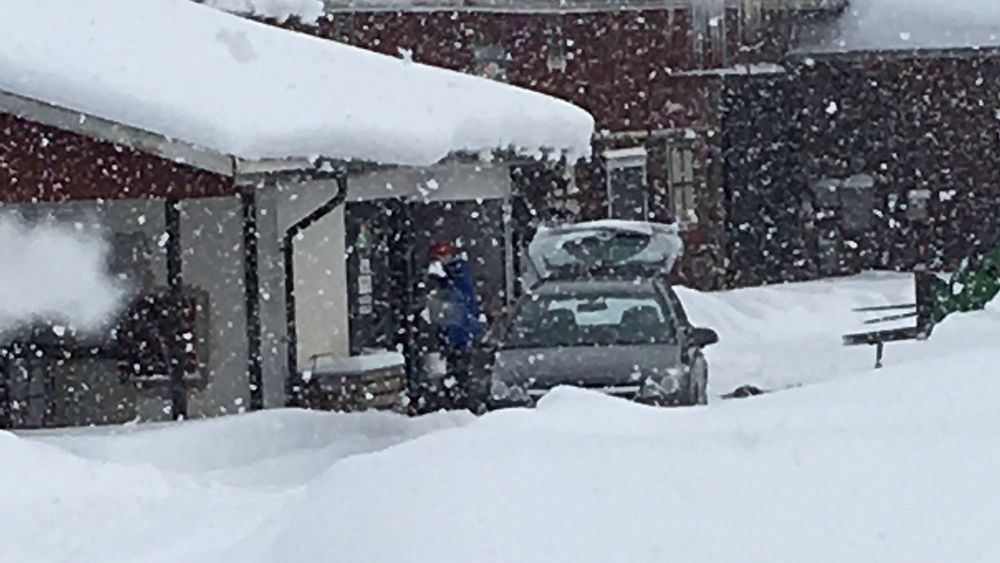 Många trotsade snöovädret för gårdens mjölk.