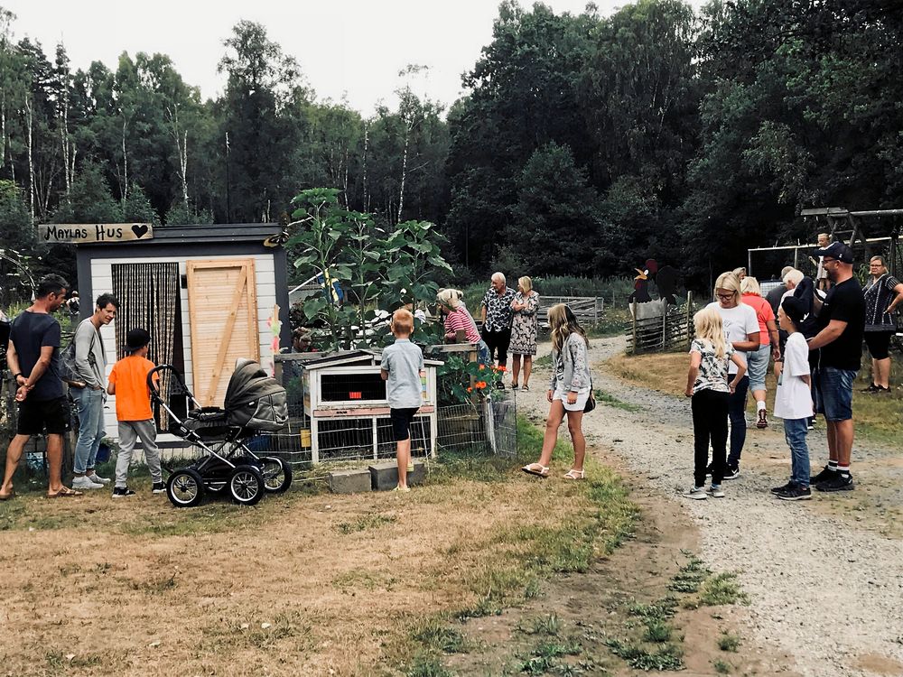 Det kom mellan 300 och 400 personer till Brantas gård. De tittade på odlingar och djur, pratade kombucha och åt lammkorv. Allt bakat till kaffet tog slut på några timmar.