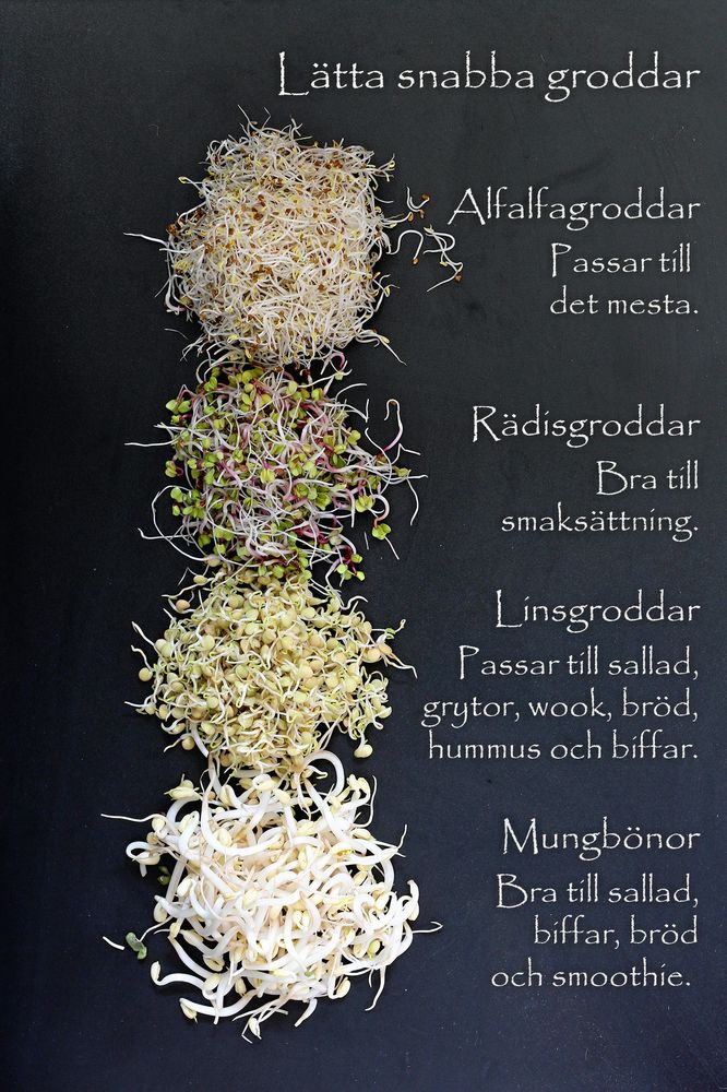 Välj och vraka.Groddar som är lätta att börja med.