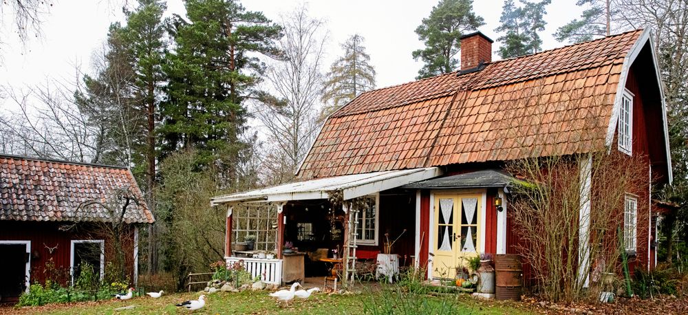 Det lilla torpstället som är omgivet att djup skog.